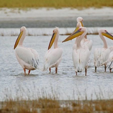 Отель South Mobile Camp Nxai Pan National Park Экстерьер фото