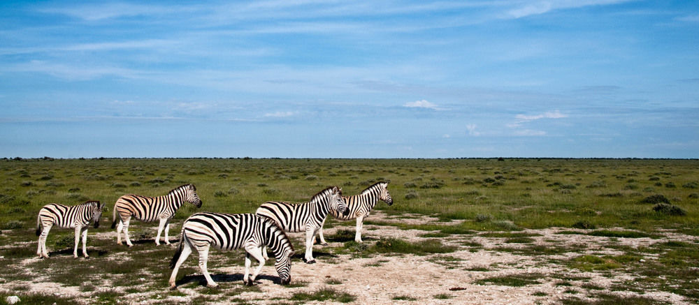 Отель South Mobile Camp Nxai Pan National Park Экстерьер фото